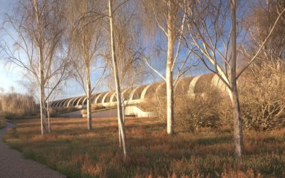 HS2 wins Buckinghamshire tree battle on appeal