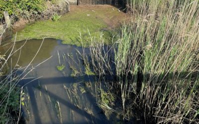 Defra faces legal challenge over second bid to relax water pollution rules