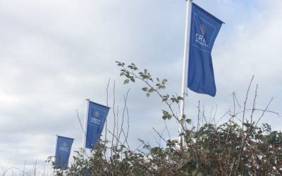 Crest Nicholson finds more defects