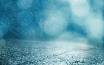 Rain dampens industry forecasts