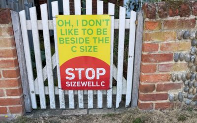 Sizewell C secures nuclear site licence