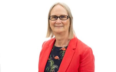 Cardo makes Nelson COO