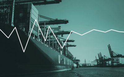 Timber imports soften but prices stabilise