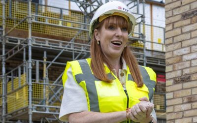 Council planning committees to get their wings clipped