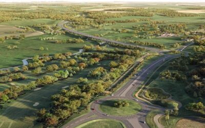 Planning reform comes too late to save Norwich road scheme from bats