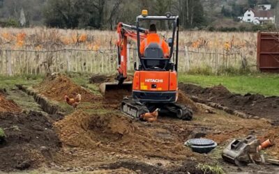 Lords slam redundant grey belt policy