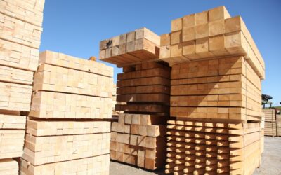 Construction PMI slumps back to negative