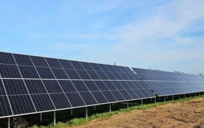 Solar farm boosts Multiplex net zero ambitions