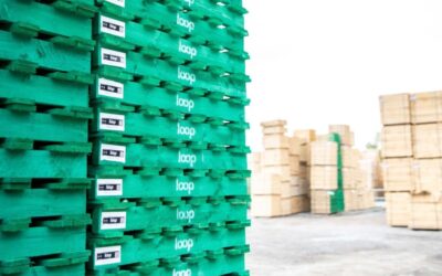 Willmott Dixon embraces reusable pallets