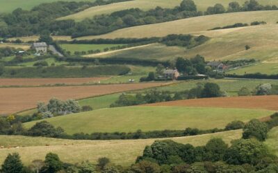 Pressure grows on government to rethink nature levy