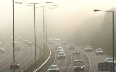 Government brings in consultants for greener roads