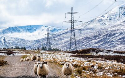 Ofgem gives initial approval to £24bn grid investment