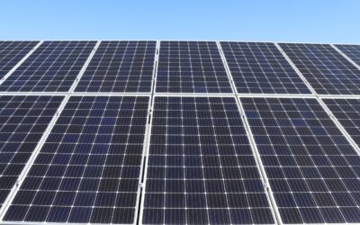 Solar expansion jeopardising UK food production