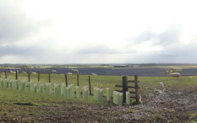 Miliband approves Byers Gill Solar Farm