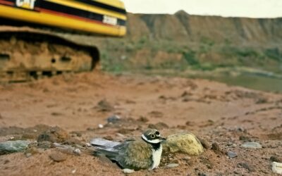 Fears grow for quarries with landfill tax hike