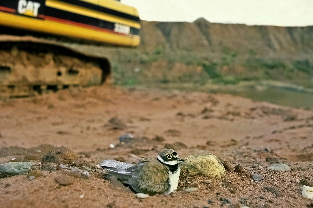 Fears grow for quarries with landfill tax hike