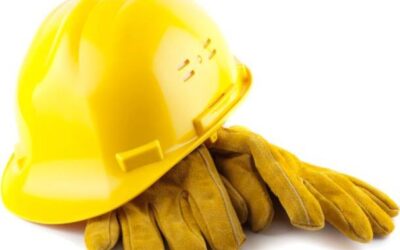 The changing face of apprentices