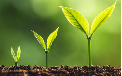 Construction returned to growth June says ONS