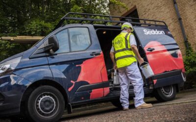 Margins improve for Seddon