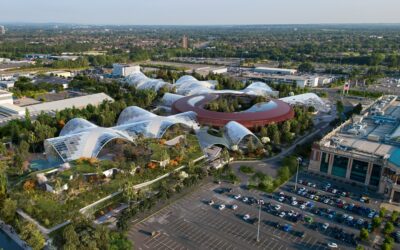 McAlpine handed lead role for Manchester health spa