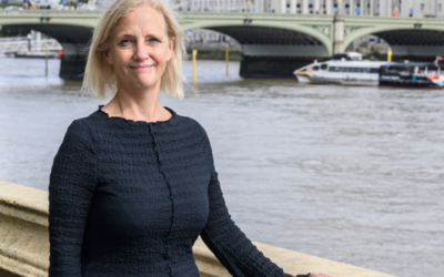 ACE backs planning bill amendment