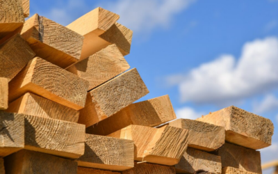 National Timber Group in administration