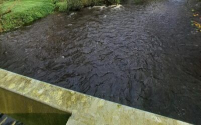 Galliford Try to monitor Devon and Cornwall rivers