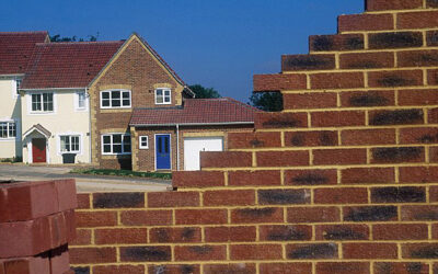 FMB calls for licensing