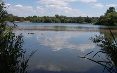 Strabag to repair Aldenham Reservoir