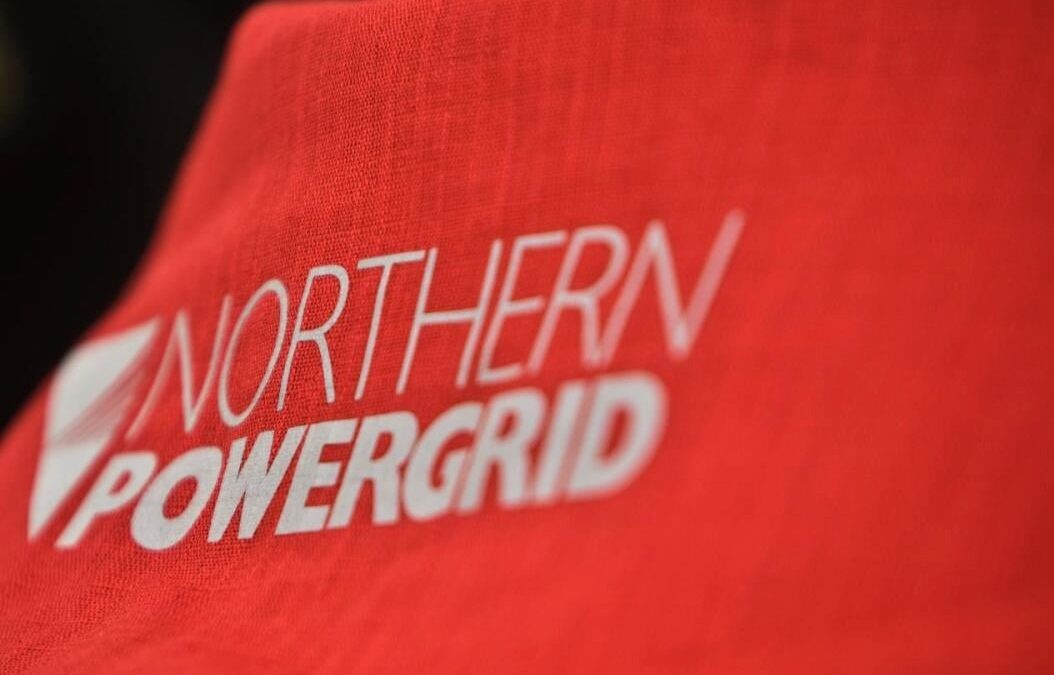 WSP wins power framework