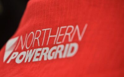 WSP wins power framework