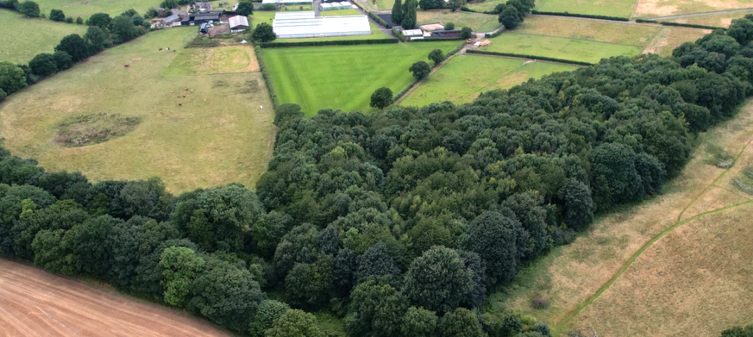 HBF calls for BNG reforms