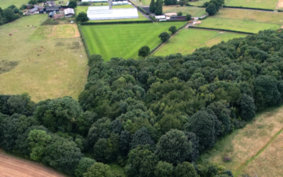 HBF calls for BNG reforms