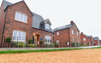 Lioncourt joins Homes for Nature