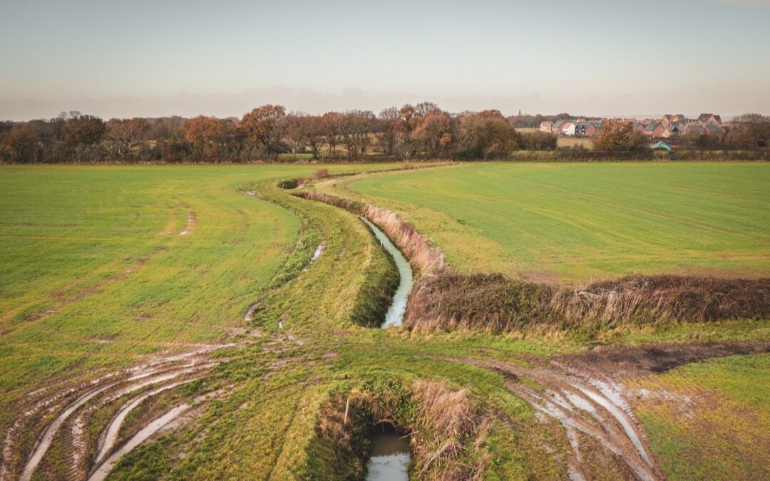 Natural England go-ahead for nutrients scheme
