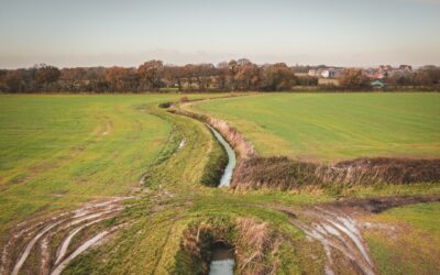 Natural England go-ahead for nutrients scheme