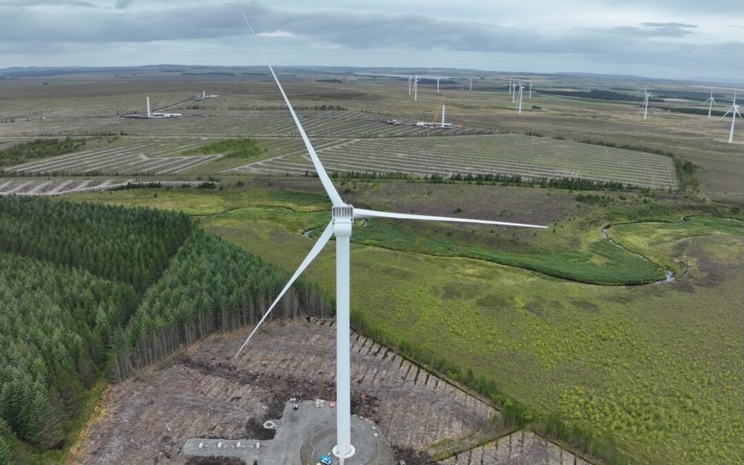 RWE completes Scottish wind farm
