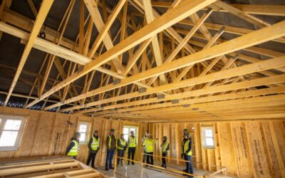 Structural timber promoted at Westminster
