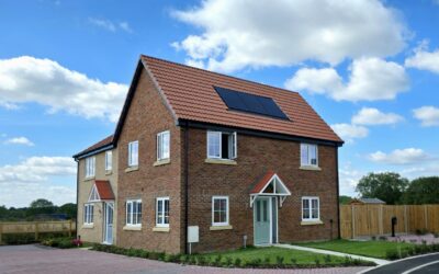 Future Homes updates carbon assessment