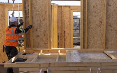 Robertson Timber wins independent verification