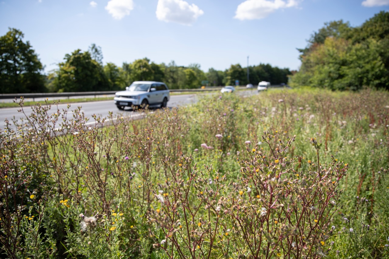 National Highways adds suicide prevention to design standards